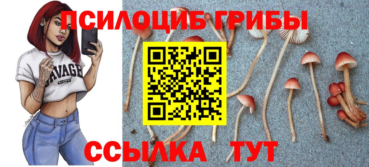 Галлюциногенные грибы мицелий Кириши